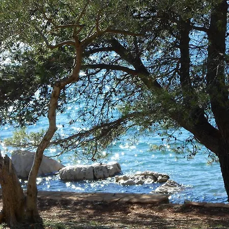 Daire Falcon Stari Grad (Hvar)