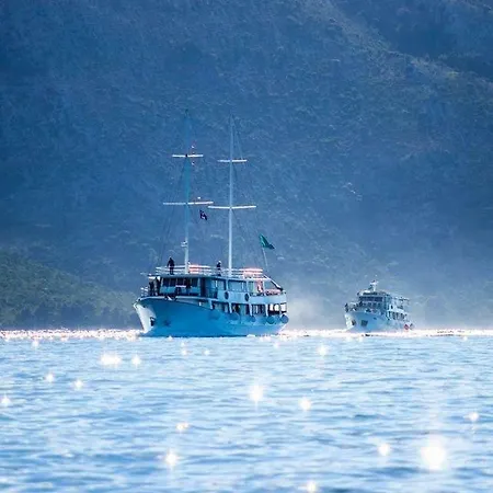 Falcon Daire Stari Grad (Hvar)